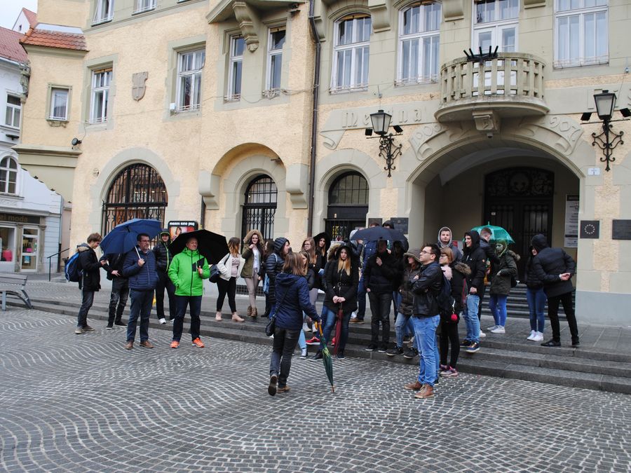 Naravoslovni in kulturni dnevi za šolske skupine na Ptuju