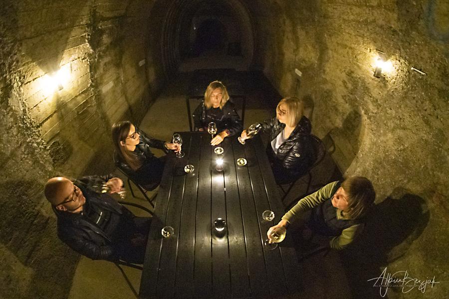 Vinska degustacija v temi