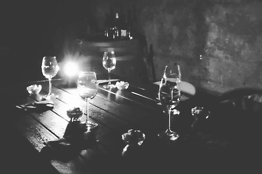 Vinska degustacija v temi