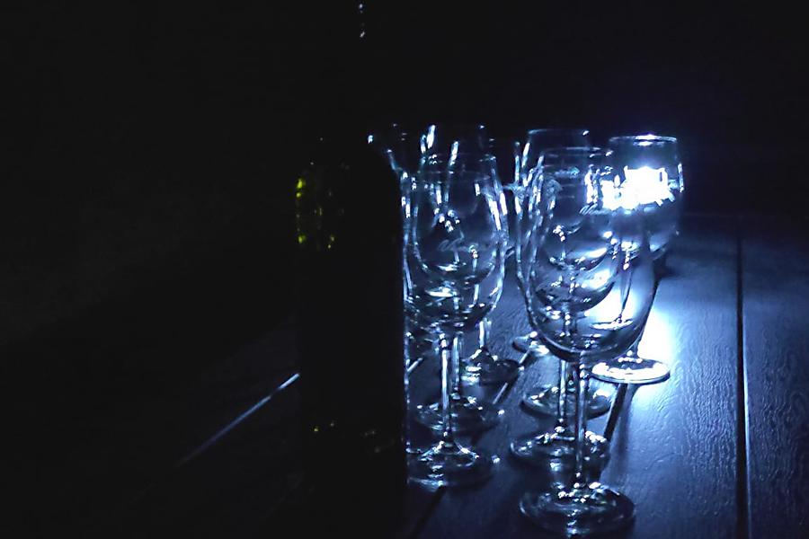 Vinska degustacija v temi