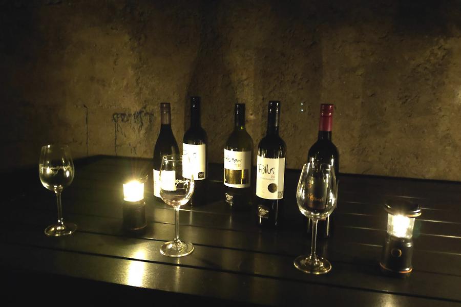 Vinska degustacija v temi