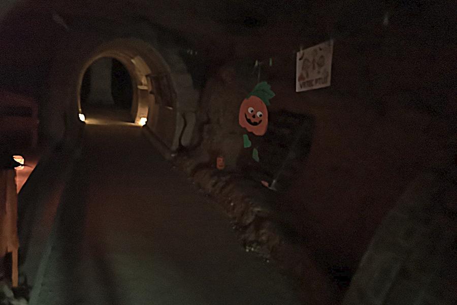 Pobeg iz grajskega rova